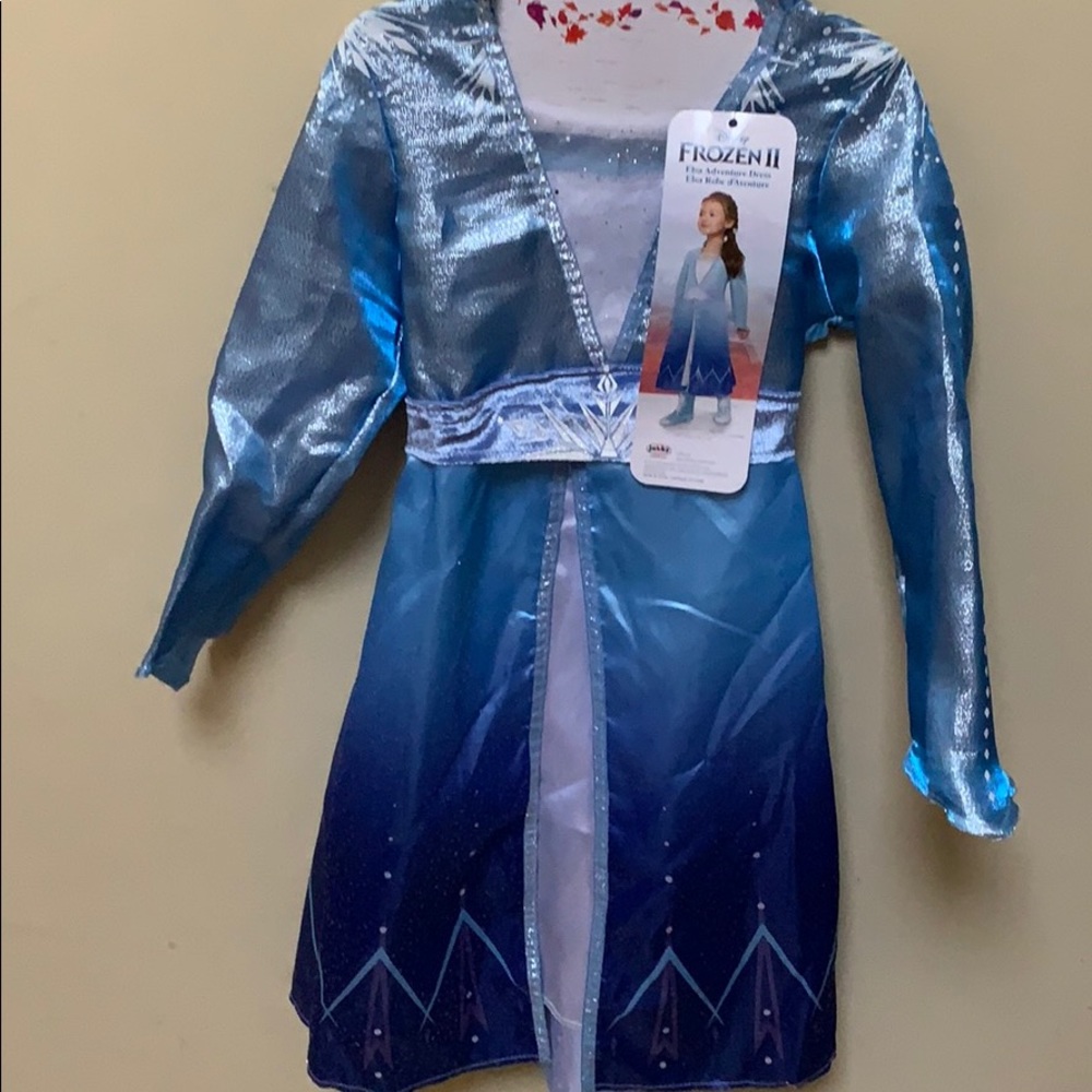 Frozen 2 Elsa costume